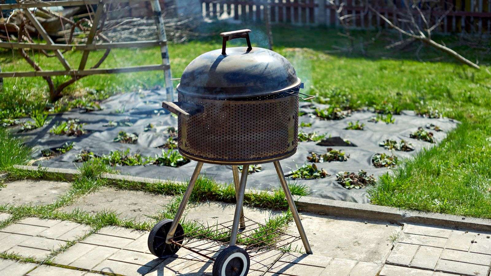 Best Smoker for Beginners in 2026: Weber Smokey Mountain vs Pellet vs Kamado