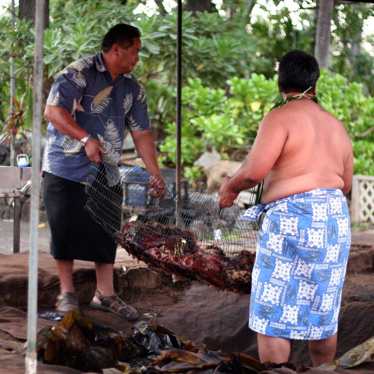 Men lifting a whole roast pig from an underground imu oven